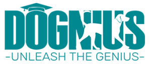 Logo-350-150