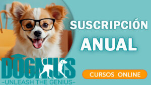 Suscripción Anual