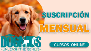 Suscripción mensual